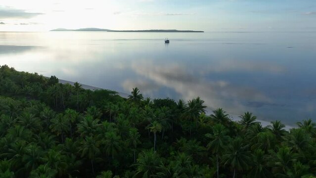 A serene sunrise illuminates the palm-covered, remote island of Koon near Seram, Indonesia. This scenic island's coral reefs, and the surrounding seas, support extraordinary marine biodiversity.