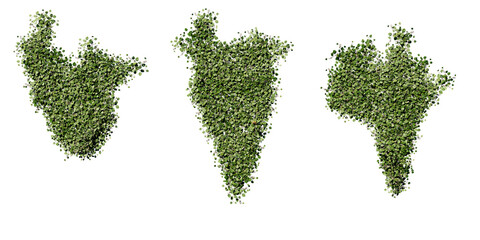 Naklejka premium beautiful ivy green and flower 