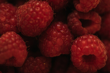 close up of raspberries. Fruits. 