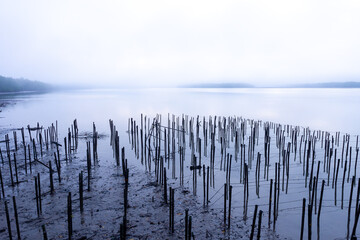 bamboo stick protects the mud and soil