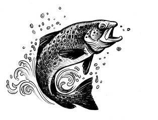 Jumping salmon fish. Hand-drawn ink black and white illustration