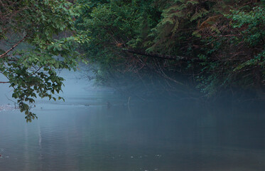 Fog on the Salmon River in Southeast Alaska in summer,