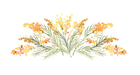 Floral watercolor composition with yellow mimosas and greenery. Hand drawn illustration of...