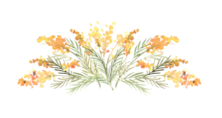 Floral watercolor composition with yellow mimosas and greenery. Hand drawn illustration of botanical template for greeting cards or wedding invitations, mother's day, birthday, march 8, posters, logos