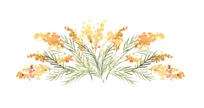 Floral watercolor composition with yellow mimosas and greenery. Hand drawn illustration of botanical template for greeting cards or wedding invitations, mother's day, birthday, march 8, posters, logos