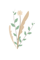 Flower Branch Illustration With Pastel Colors And Beautiful Shape | Simple And Esthetic Hand Drawn Floral