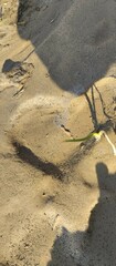 The beautiful shape of the heart in sand/nature.