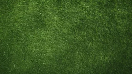 Fototapete Gras overhead of the green grass of a soccer field