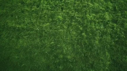 Papier Peint photo autocollant Herbe overhead of the green grass of a soccer field
