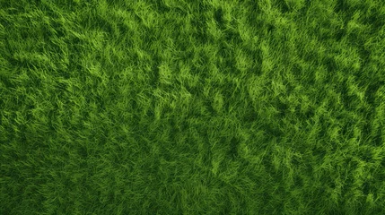Deurstickers Gras overhead of the green grass of a soccer field