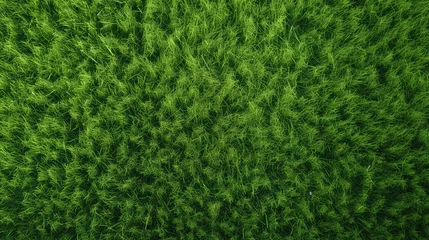 Crédence de cuisine en verre imprimé Herbe overhead of the green grass of a soccer field