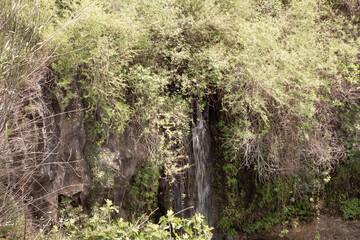 Obraz premium The Black Waterfall in the El Al National Nature Reserve located in the Northern Galilee in Northern Israel