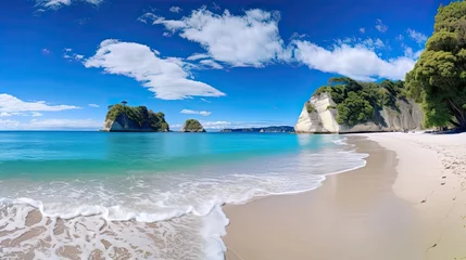 Foto op Plexiglas Cathedral Cove Cathedral Cove beach in summer