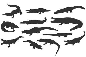 Set of crocodile silhouette, reptile, alligator, predator - obrazy, fototapety, plakaty