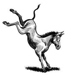 Kicking mule. Hand-drawn black and white illustration - obrazy, fototapety, plakaty
