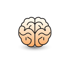 Illustration of human brain on white background.