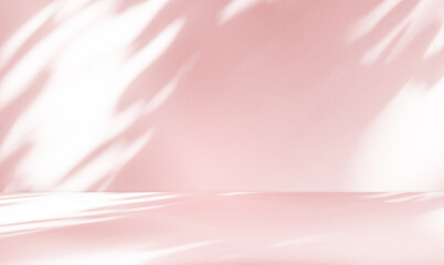 Empty studio interior background and backdrop and product display stand with shadow and white leaves on blank text background for inserting text.	