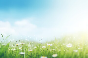Spring or summer abstract nature background with grass in the meadow and blue sky in the back