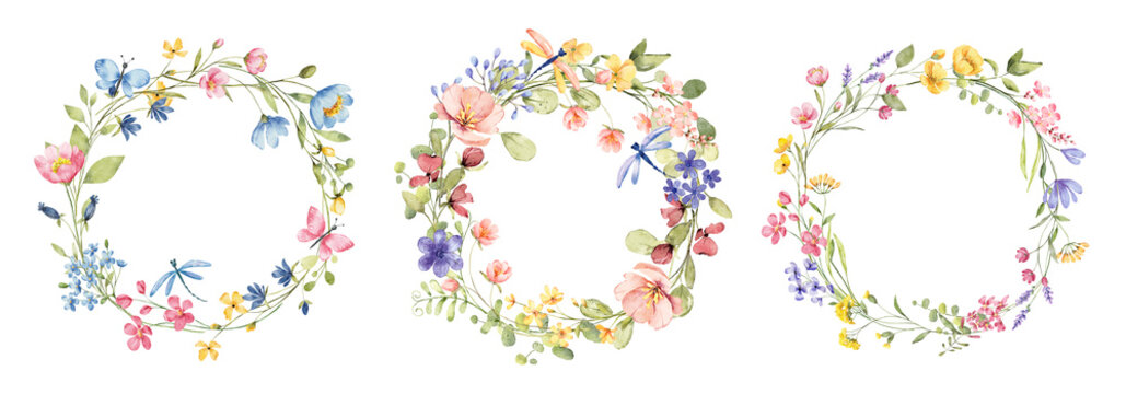 Wreaths, floral frames, watercolor wild flowers, Illustration hand painted. Isolated on white background. Perfectly for greeting card design.