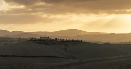 panorama landscape of rolling hills in Tuscany at sunrise with a cypress alley leading to a country estate in the distance