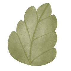 green leaf isolated on white