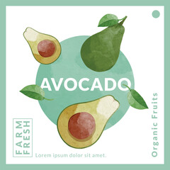 Avocado packaging design templates, watercolour style vector illustration.