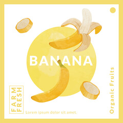 Banana Fruit packaging design templates, watercolour style vector illustration.