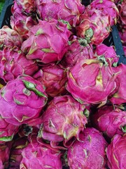 Obraz premium Dragon fruit.