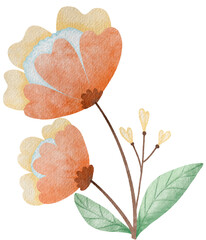 hand drawn wide flowers 