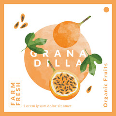 Granadilla or yellow Passion fruit packaging design templates, watercolour style vector illustration.