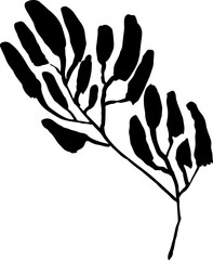 Obraz premium Leaf Grunge Artwork Brush Silhouette Element