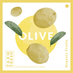 Olive packaging design templates, watercolour style vector illustration.