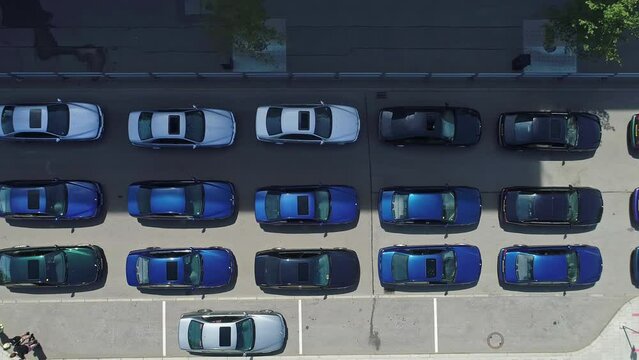 BMW M Power cars line up drop down view for 50 years celebration, Munich Germany