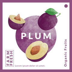 Plum packaging design templates, watercolour style vector illustration.