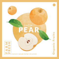 Snow Pear packaging design templates, watercolour style vector illustration.