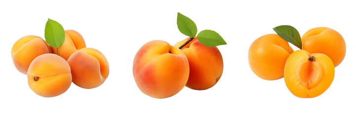 Delicious Apricot Fruit Set Isolated on Transparent Background