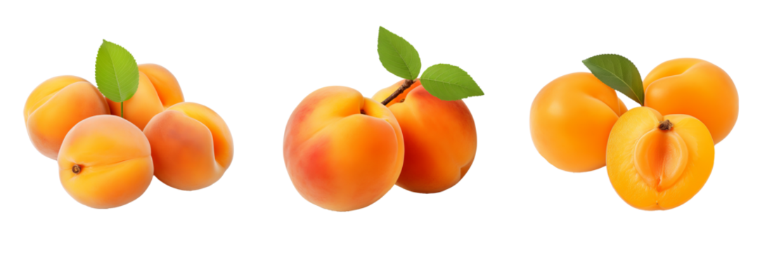 Delicious Apricot Fruit Set Isolated on Transparent Background