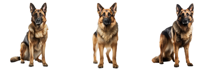 Graceful German Shepherd Dog Silhouettes on Transparent Background