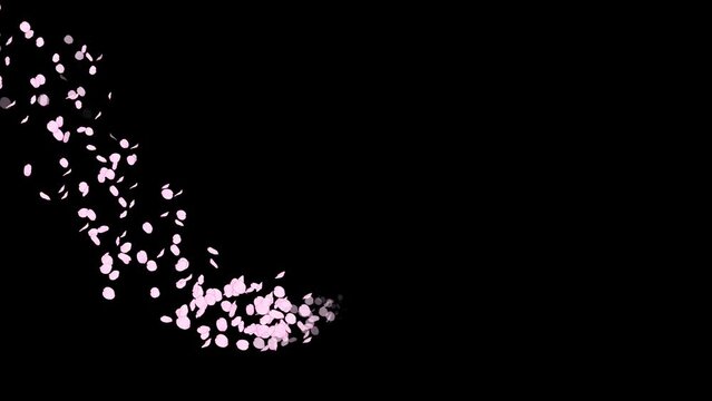 桜の花びらが奥から手前に流れるラインパーティクル　3種類
