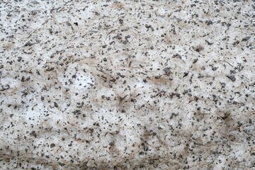 The texture of dirty snow, the snow thawing.
