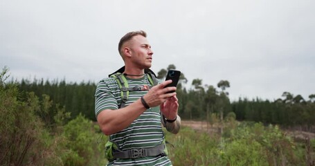 Search, phone and man hiking in a forest with travel, guide or navigation, directions or walking in nature. Smartphone, map and male backpacker with app for compass, location or tracking adventure