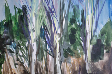 Coniferous and birch trees grove. Bare branches forest watercolor painting.