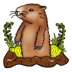 Groundhog