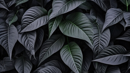 Black leaves for tropical leaf background. ai generated.
