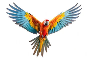 Stof per meter A beautiful colorful parrot flying on white background. © Wararat