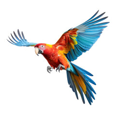 Fototapeta premium A beautiful colorful parrot flying on white background.