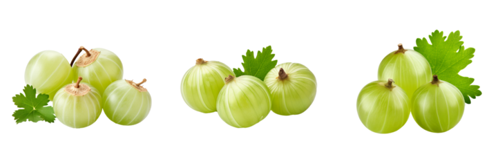 Vibrant Gooseberry Fruits Set on Transparent Background