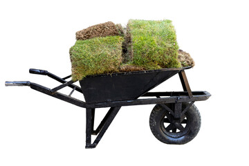 A wheelbarrow full of grass pieces to transport to the grass for the lawn