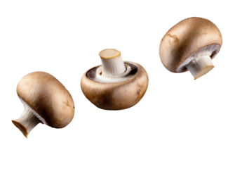 Flying champignon mushrooms - isolated on transparent background