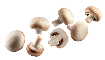 Flying champignon mushrooms - isolated on transparent background - obrazy, fototapety, plakaty